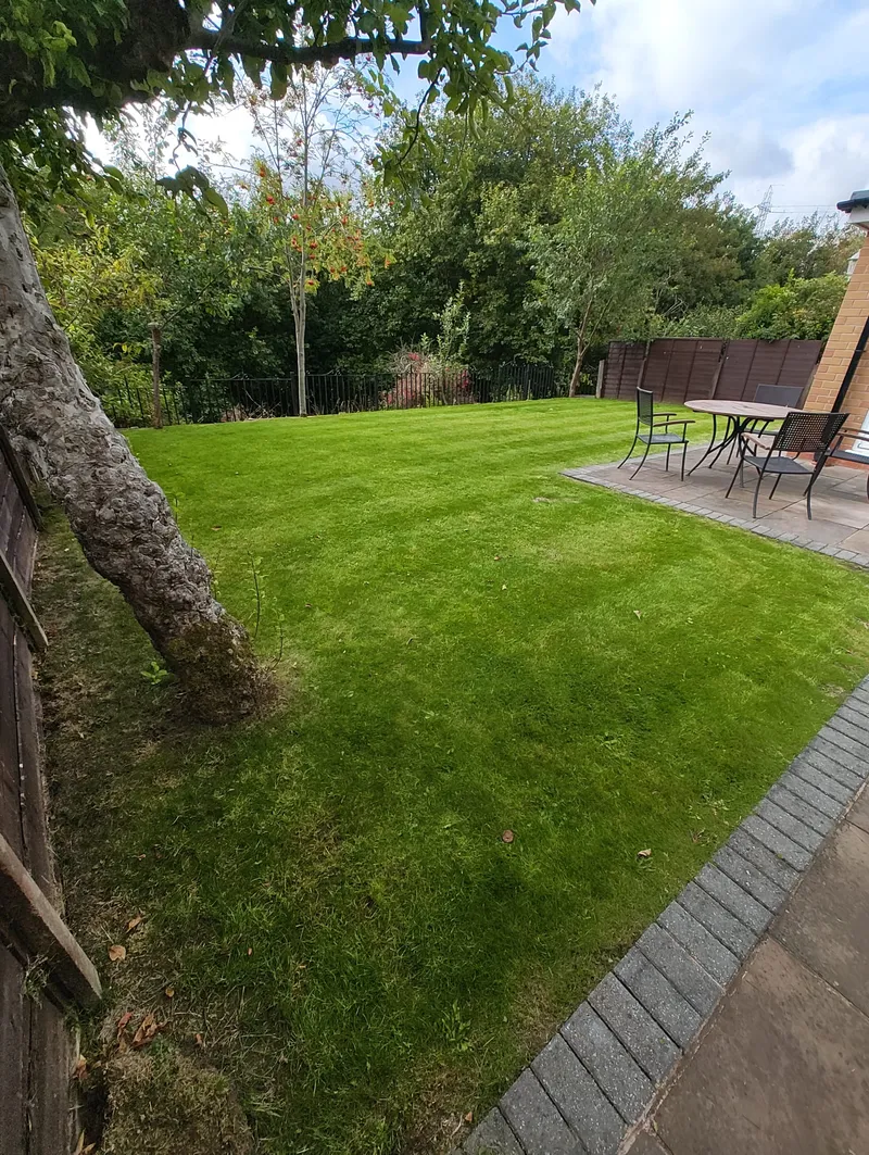 After Transformation