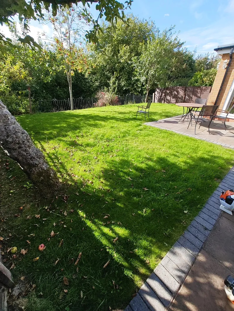 Before Transformation